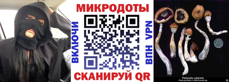 Псилоцибиновые грибы мухоморы Учалы